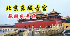 老女人插她毛茸茸的老阴户中国北京-东城古宫旅游风景区